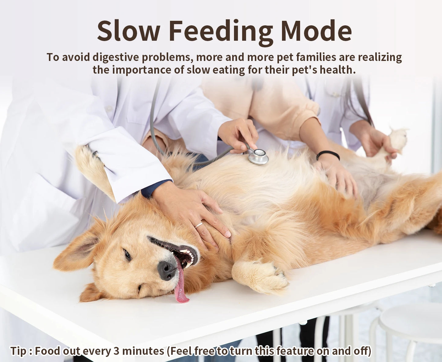 Automatic Feeder with APP Control for Remote Feeding
