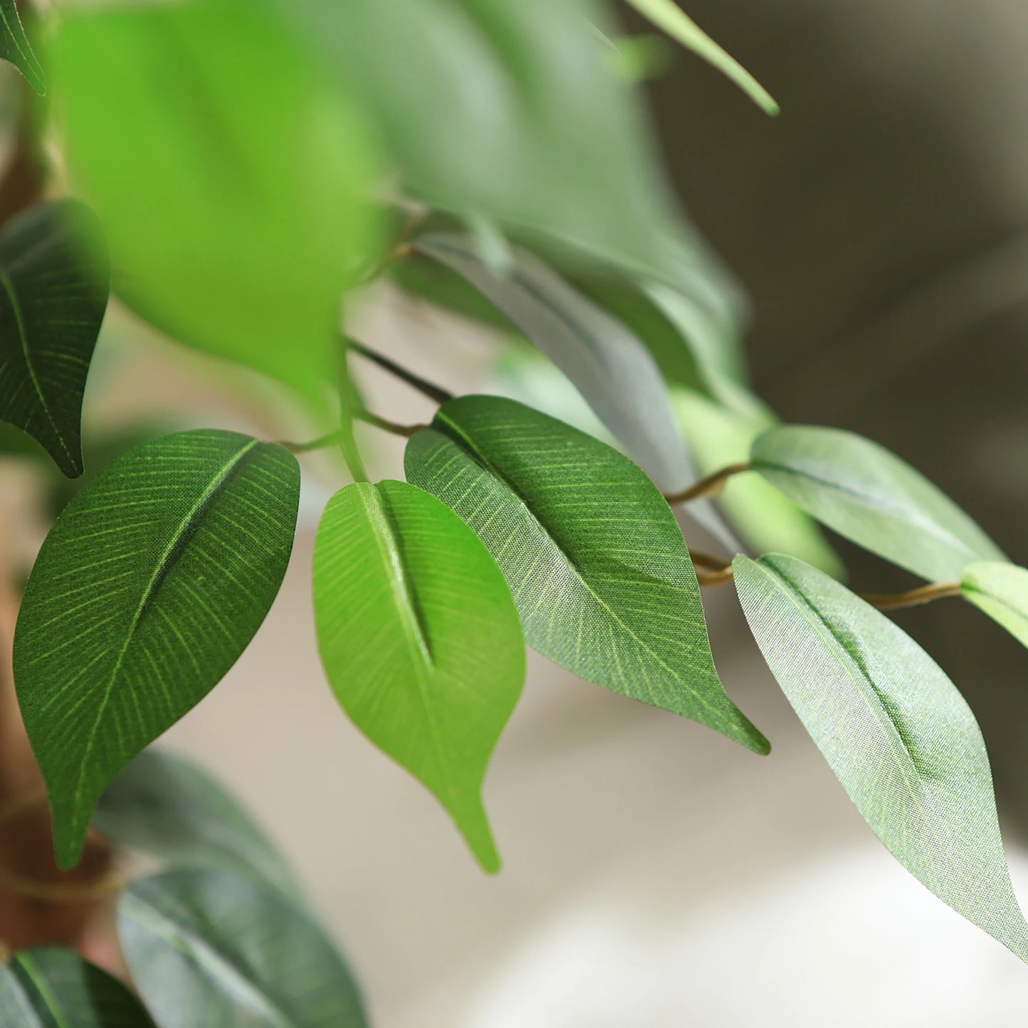 Artificial Ficus Tree with Natural Wood Trunk and Lifelike Leaves